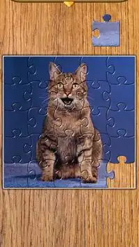 Jigsaw Puzzles Cats Screen Shot 4