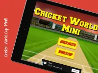 Cricket World Cup Mini Screen Shot 10
