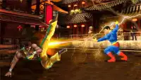 Terra Kung Fu Tag Fight Vs Superhero Fighting Game Screen Shot 0