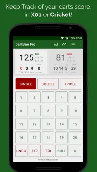 DartBee - Darts Scorebord Screen Shot 0