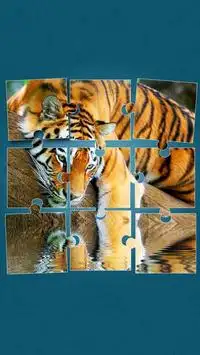 Tiger Puzzle-Spiele Screen Shot 0