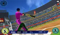 IPL Cricket Champions: T20 Cricket Game 3D Screen Shot 5