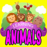 Learning Animals and Puzzle Games