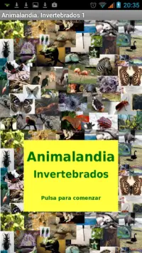 Animalandia Invertebrados 1 Screen Shot 0