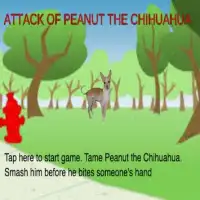 Attack of Peanut the Chihuahua Screen Shot 2