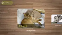 Kedi Yapboz Oyunları Oyna Screen Shot 1