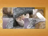 Cat Puzzles - Drag & Swap Screen Shot 17