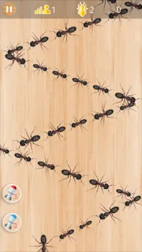 Ant Smasher Screen Shot 2