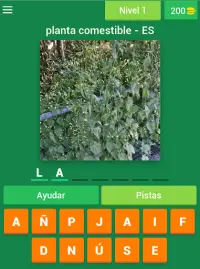 Pflanzen - Spanisch Screen Shot 5