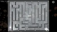 RndMaze - Maze Classic 3D FREE Screen Shot 10