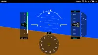 Flight Simulator Display Screen Shot 1