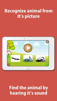 Kids Zoo, animal sounds & pictures, games for kids Screen Shot 15