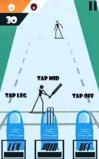 World Cricket Stickman championship: ball & runs Screen Shot 1