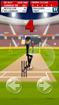 Stick Cricket 2 Screen Shot 1
