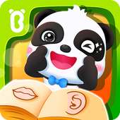 बेबी पांडा- शरीर के अंग सीखें