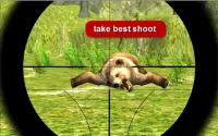 Bear Hunter Expert Screen Shot 3