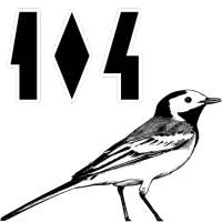 104 Birds Quiz