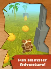 Hamster Dash: 3D Run Screen Shot 1