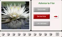 Adivina el Flor: Rompecabezas de Azulejos Screen Shot 0