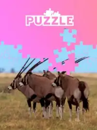 Animals of Africa: Pretty animal puzzles Screen Shot 0