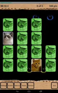 Kitty Brain Box Screen Shot 10