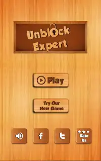 Unblock Expert : Block Puzzle Brain Games Screen Shot 5