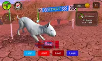 Simulador de perro Bull Terier Screen Shot 7