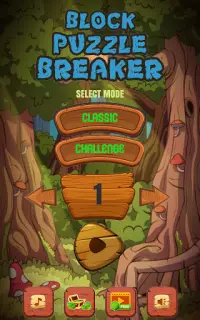 Block Puzzle Breaker 2020 Screen Shot 14