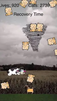 Falling Cats on Pug Screen Shot 5