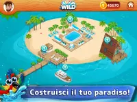 Wild Cards! Giochi di carte online con gli amici Screen Shot 13