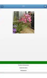 النباتات المنزلية - quiz Screen Shot 10