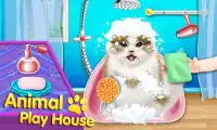 Animals Play House Screen Shot 2