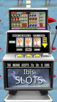 Ibis Slots - Free Screen Shot 0