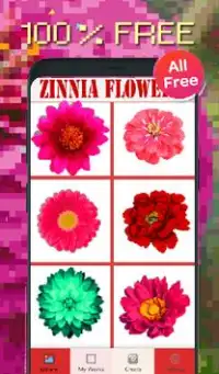 Zinnia Flowers Color By Number-Pixel Art 2020 Screen Shot 4