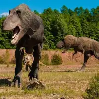 🦖 Juegos de Dinosaurios del Jurasico Rompecabezas Screen Shot 2