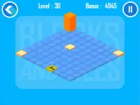 Blocks and Tiles : Puzzle Game Screen Shot 7