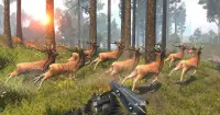 Охота на оленей 2020 - Игра в стрельбу из снайпера Screen Shot 4