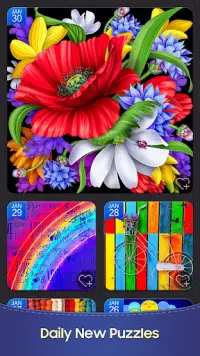 Jigsaw Puzzles Pro Puzzle Game Screen Shot 3