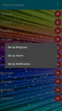 Horse Sounds and Ringtone free Screen Shot 6