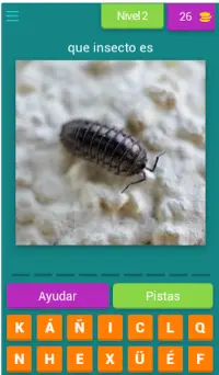 identificar insectos por fotos quiz Screen Shot 3