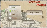 Cronum Puzzle Screen Shot 0