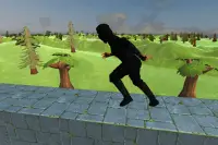 Ninja Run 3D Screen Shot 1