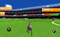 Goat Fight Simulator Screen Shot 3