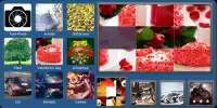 Jigsaw Puzzles Plus Screen Shot 0