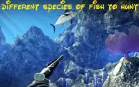 Pesca divertente avventura gra Screen Shot 2