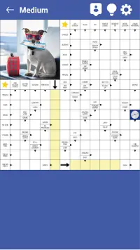 Your daily crossword puzzles Screen Shot 0