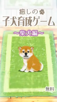 癒しの子犬育成ゲーム〜柴犬編〜 Screen Shot 0