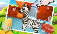 Baby Zebra SPA Screen Shot 1