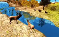 Deer Hunting Sniper Shooter Screen Shot 1
