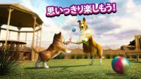 犬 Dog Simulator Screen Shot 5